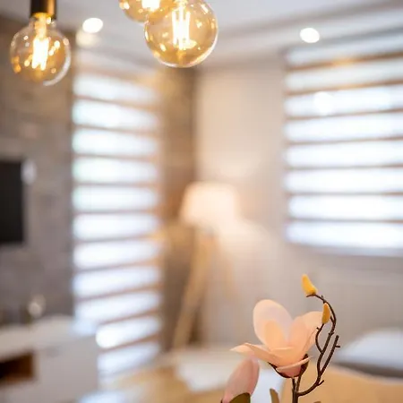 Carpe Diem Apartment Zlatibor