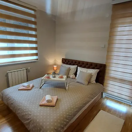 Carpe Diem 즐라티보