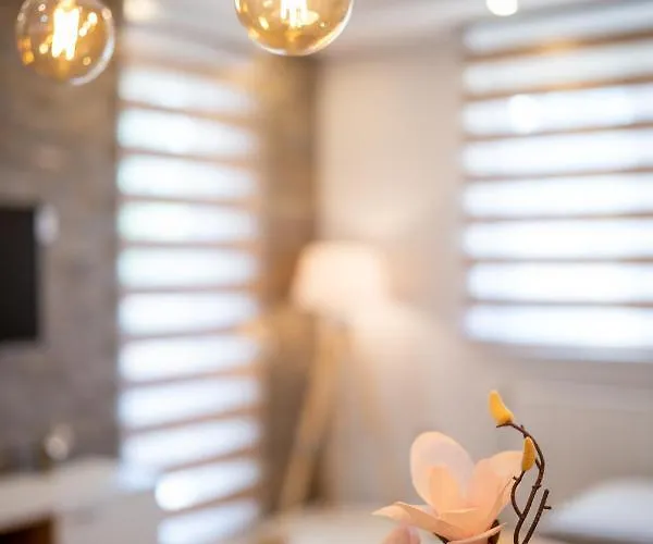 Carpe Diem شقة زلاتيبور